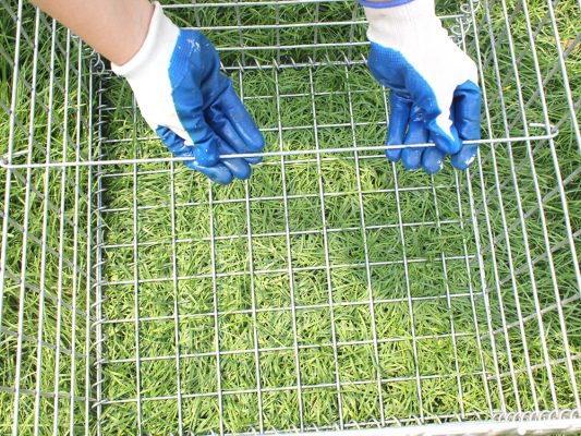 CE Europe standard Welded Gabion Basket,Gabion Wall Gabion Basket 1 3 533x400