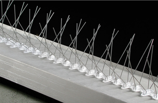 WH-PC5050 Stainless Steel Pest Control Spike BIRD SPIKE 99 616x400