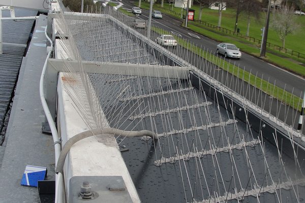 WH-PCA5060 Stainless Steel Anti Bird Control Bird Spike Bird Spikes 600x400