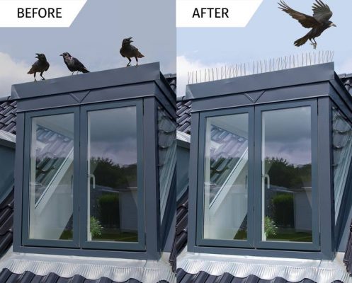 Bird Spikes Advantages 497x400