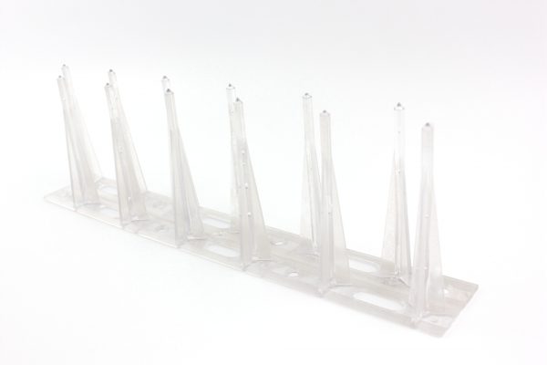 Plastic Bird Spikes 600x400