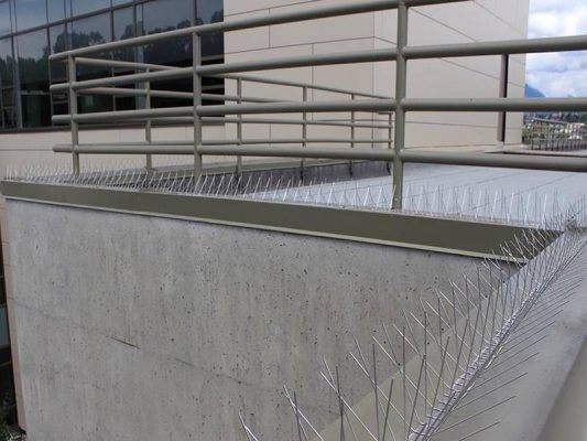 WH-PCA5060 Stainless Steel Anti Bird Control Bird Spike Ss Bird Spikes Leading Ledge 533x400