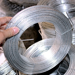 Garden Training Tie Wire Tension Wire Heavy Duty 1