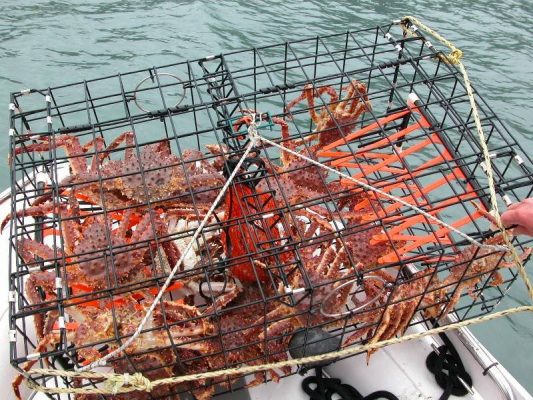 Trap Wire-Hex Vinyl Coated Lobster Trap,Crab Trap Big Crab Trap 533x400