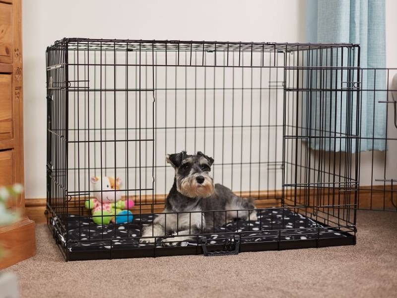 Pet Cage with Good Ventilation and Visibility, Easy Cleaning, Durable Dog Cage Mat 1
