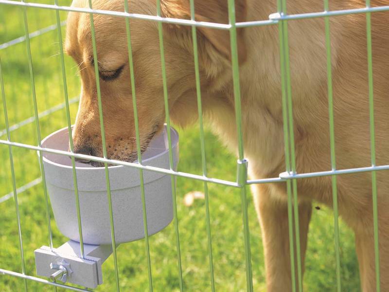 Pet Cage with Good Ventilation and Visibility, Easy Cleaning, Durable Dog Cage Water 1