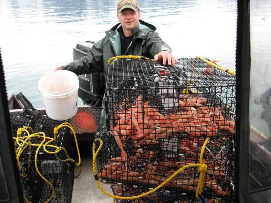 Trap Wire-Hex Vinyl Coated Lobster Trap,Crab Trap Shrimp Traps 533x400