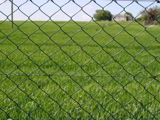 25m -PVC Coated Chain Link Fence Football Field Chain Link Fence 533x400