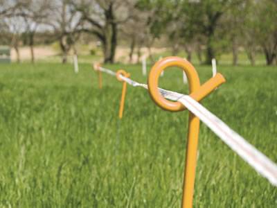 Plastic Fencing Stake Pigtail Post 2