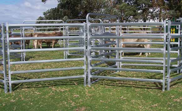 1.8m × 2.1m Durable galvanized steel oval rails Australia type farm fence panel livestock cattle yard panel Cattle Panel 6Bar Economy Australia New Zealand Portable
