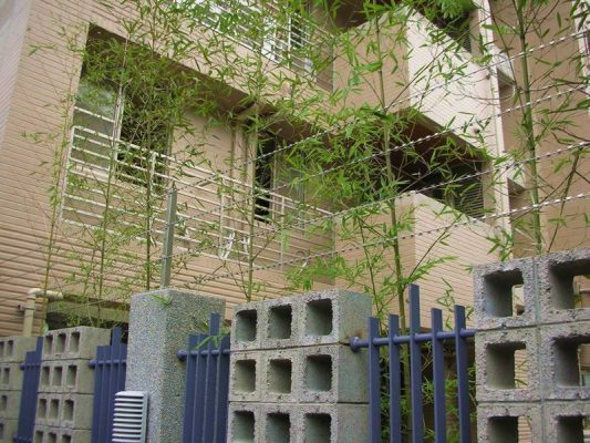 980mm /BTO-22 -  Razor Tape Line Formed Razor Wire Application 1 533x400