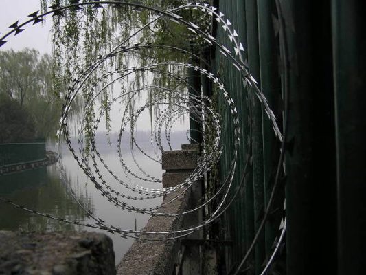 980mm /BTO-22 -  Razor Tape Razor Wire In Garden 1 533x400