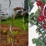 Spiral plant supports tomato spiral support